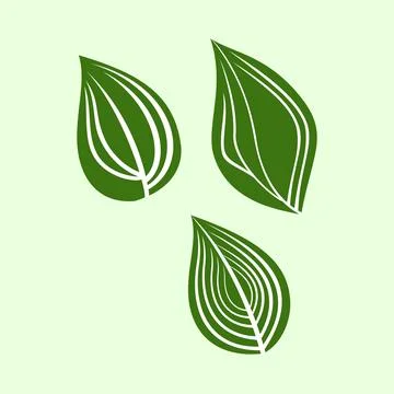 Leaf icon on green background. Leaf set illustration for your design. Leaf bones Stock Illustration