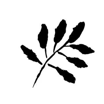 Leaf icon. Grunge vector dry brush illustration. Stock Illustration