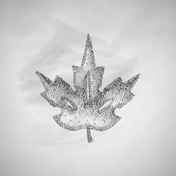 Leaf icon Stock Illustration