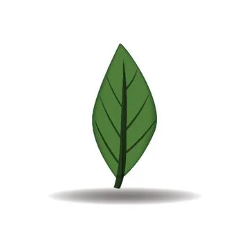 Leaf icon イラスト素材