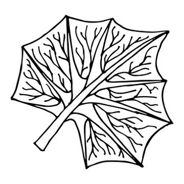 Leaf icon. Stock Illustration