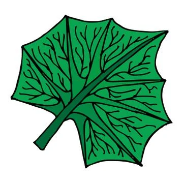 Leaf icon. Stock Illustration