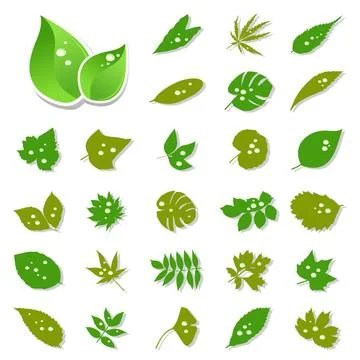 Leaf icon 스톡 일러스트