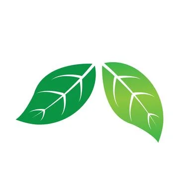 Leaf icon Stock Illustration