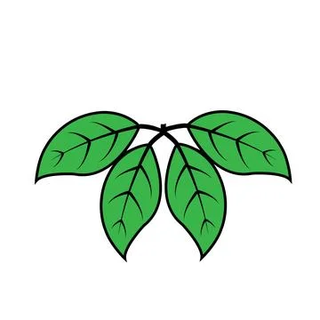 Leaf icon Stock Illustration