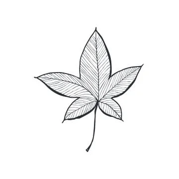 Leaf icon isolated Stock Illustration