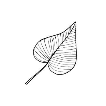 Leaf icon isolated Illustrazione stock