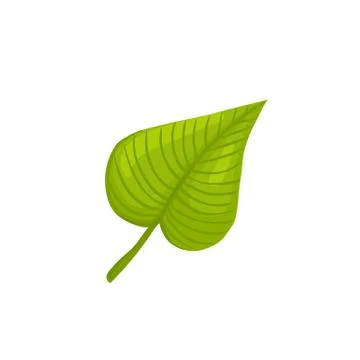 Leaf icon isolated Stock Illustration
