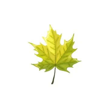 Leaf icon isolated Stock Illustration