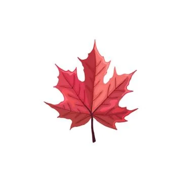 Leaf icon isolated Illustrazione stock
