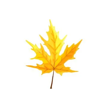 Leaf icon isolated Stock Illustration