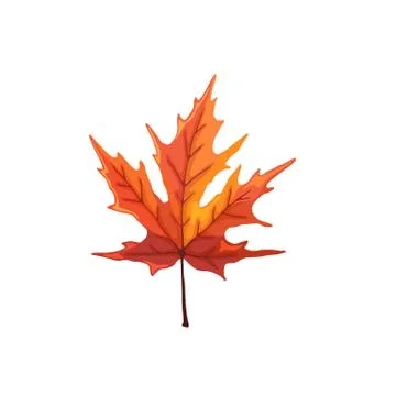 Leaf icon isolated Stock Illustration