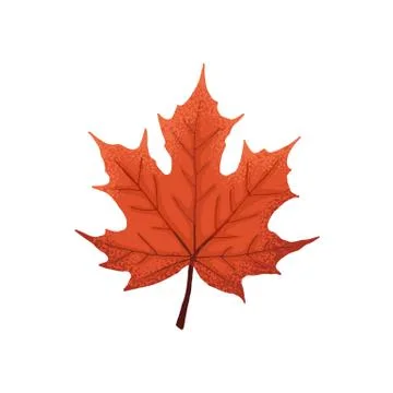 Leaf icon isolated Illustrazione stock