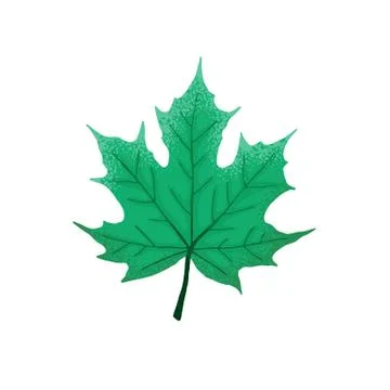 Leaf icon isolated Stock Illustration