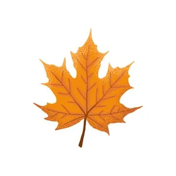 Leaf icon isolated Stock Illustration