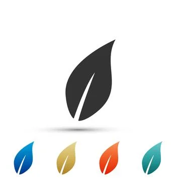 Leaf icon isolated on white background. Set elements in colored icons. Flat.. Stock Illustration