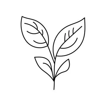 Leaf icon logo design template isolated illustration Stock Illustration