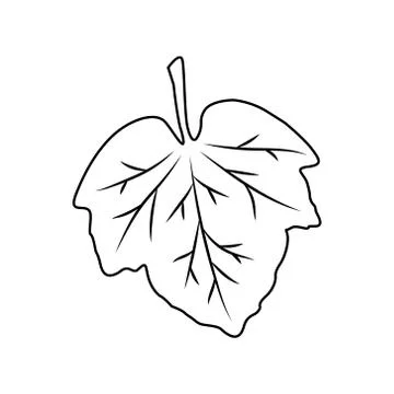 Leaf icon. Outline isolated on white background. Simple style. Vector Stock Illustration