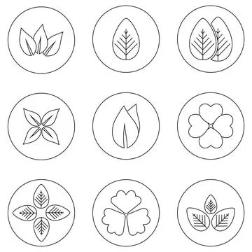  Leaf icon set Leaf icon set. Vector Illustration, EPS 10 Copyright: xZoon... 스톡 사진