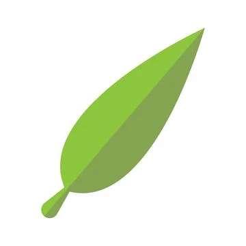 Leaf icon vector Stock Illustration