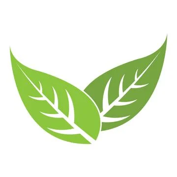 Leaf icon vector Stock Illustration