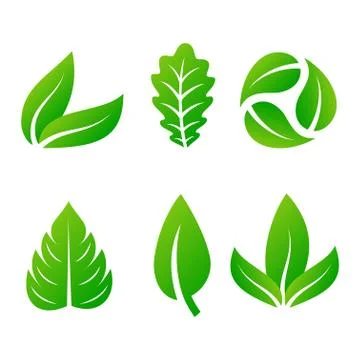 Leaf icon vector illustration Stock Illustration