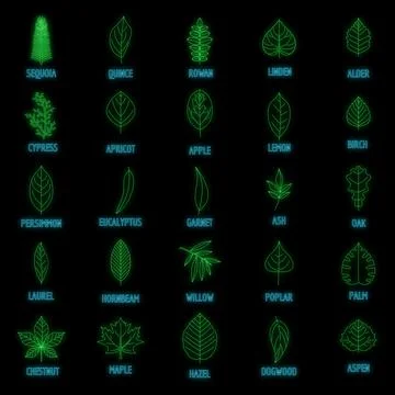 Leaf icons set vector neon Stock Illustration