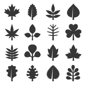 Leaf icons set on White Background. Vector 库存插图