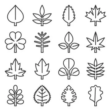 Leaf icons set on White Background. Line Style Vector Stock Illustration