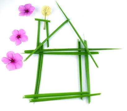 Leaf idea isolated on white background Stock Photos