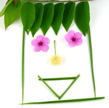 Leaf idea isolated on white background Foto stock