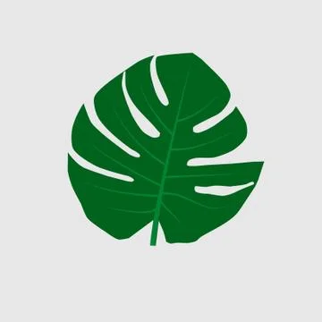 Leaf Stock Illustration