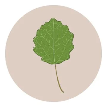 Leaf Stock-Illustration
