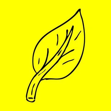 A Leaf Stock Illustration