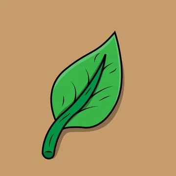 A Leaf Stock Illustration