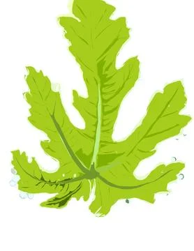 Leaf Illustrazione stock
