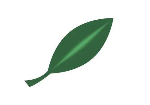 Leaf Stock Illustration