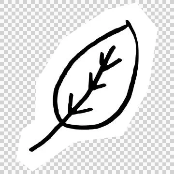 Leaf イラスト素材