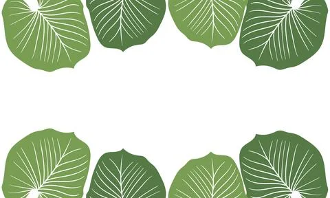Leaf illustration background with nature theme3 Stock Illustration