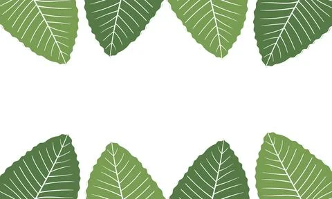 Leaf illustration background with nature theme4 Stock Illustration