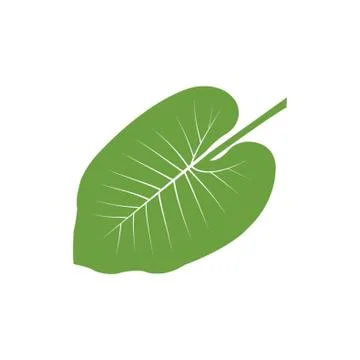 A Leaf Illustration Stock Illustration