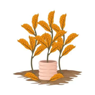 Leaf Illustration Illustrazione stock