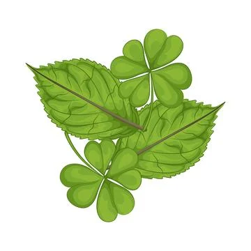 Leaf Illustration Stock Illustration