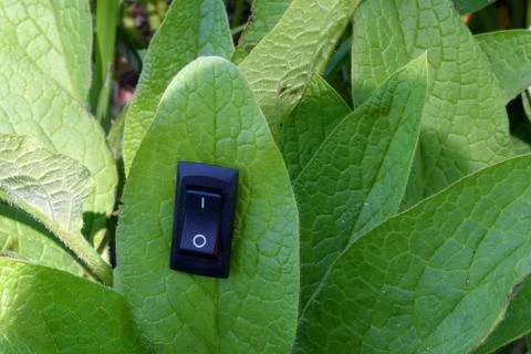 Leaf with inserted power switch turned on Stock Photos