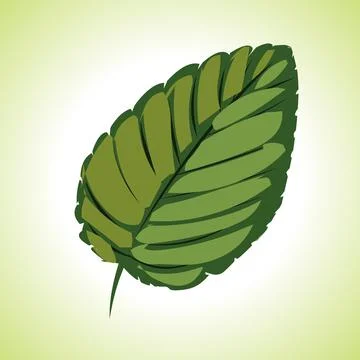 Leaf isolated illustration Stock Illustration