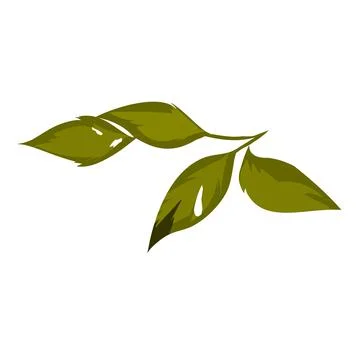 Leaf isolated illustration Stock Illustration