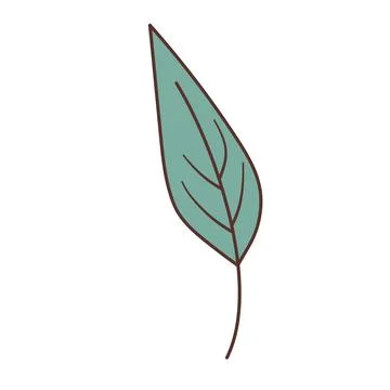 Leaf Isolated on White Background. Floral doodle icon. Stock Illustration