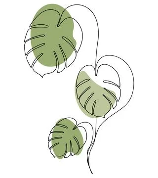 Leaf isolated on white background. illustration of a green leaf. Illustrazione stock