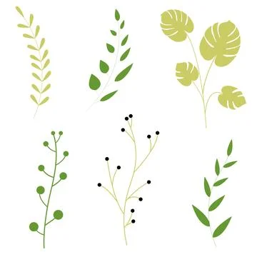 Leaf isolated on white background. illustration of a green leaf. Stock Illustration