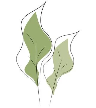 Leaf isolated on white background. illustration of a green leaf. Flowers set Stock Illustration